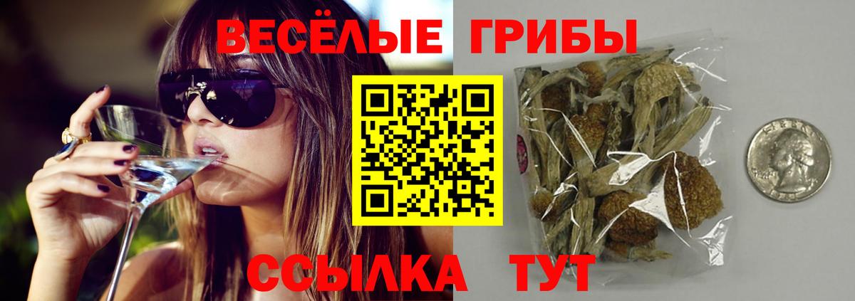 Галлюциногенные грибы Magic Shrooms Дербент